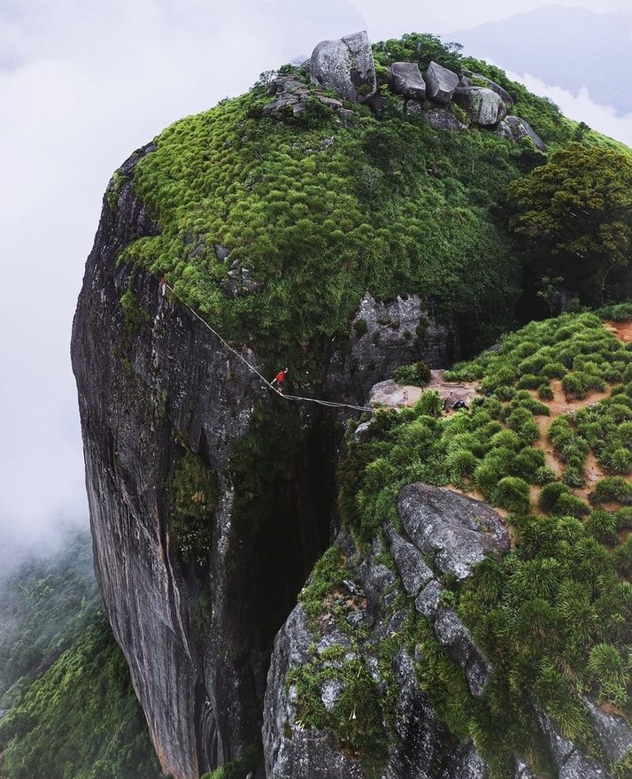 Highline rigged to a forested summit tower
